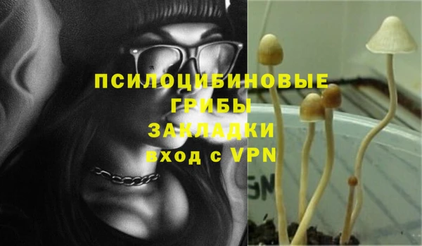 гашик Балахна