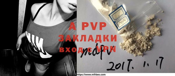 дживик Баксан