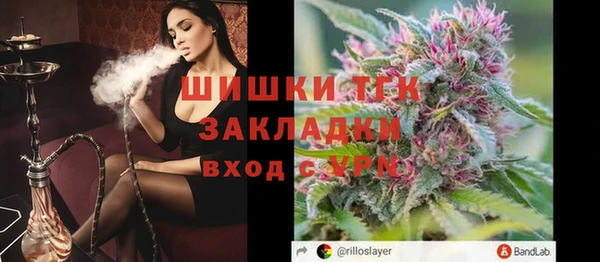 дживик Баксан
