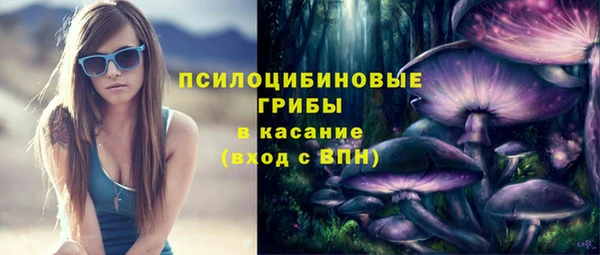 гашик Балахна